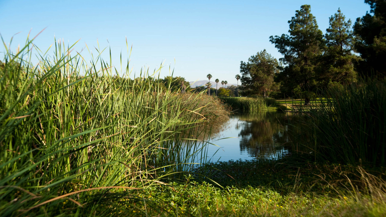 Plains and Delta, a World Apart