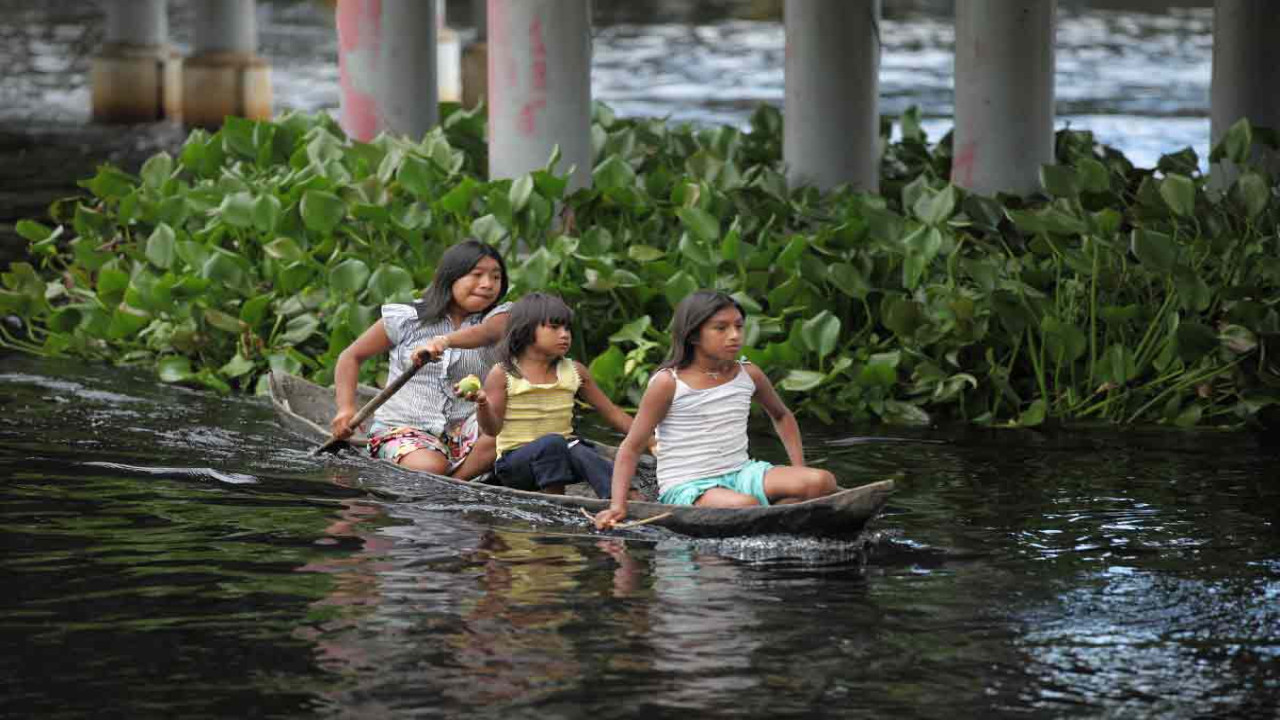 Survivors of the Orinoco Plains