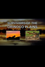 Survivors of the Orinoco Plains