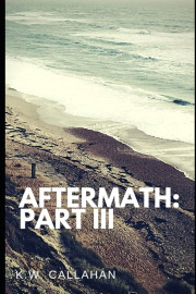 Aftermath Part 3 : Never