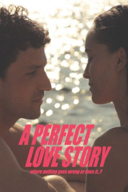 A Perfect Love Story where nothing goes wrong or does it..?