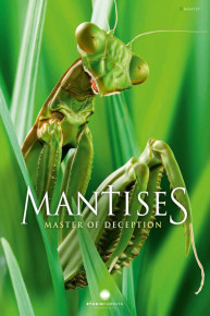 Mantises - Masters of Deception