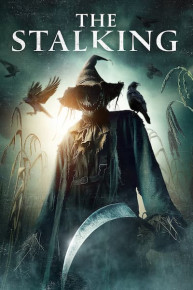 The Stalking