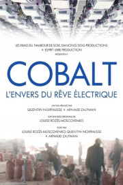 The Cobalt Rush: The Future Of Going Green