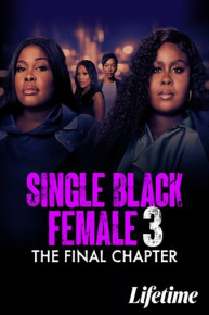 Single Black Female 3: The Final Chapter