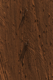 Beyond Limits: Into the ADHD Mind: Rising Above Failure