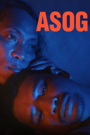 Asog