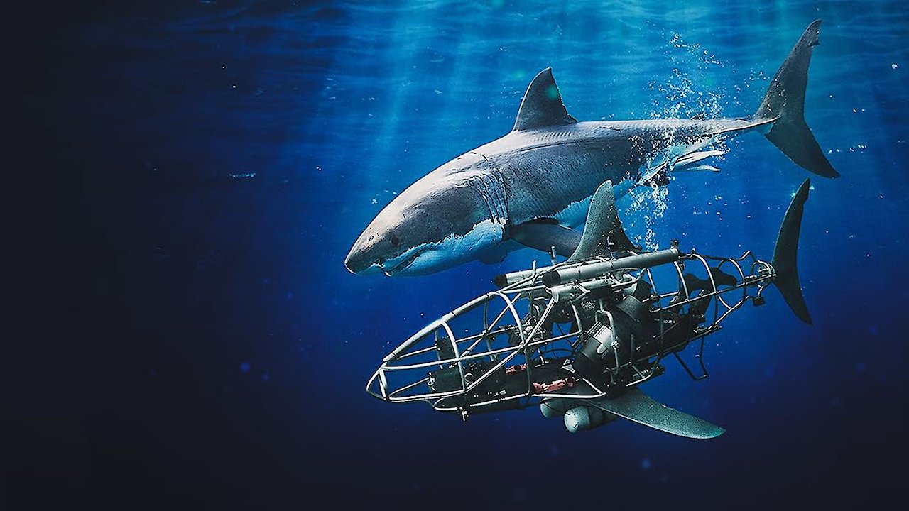 Mechashark Love Down Under