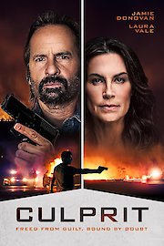 The Culprit