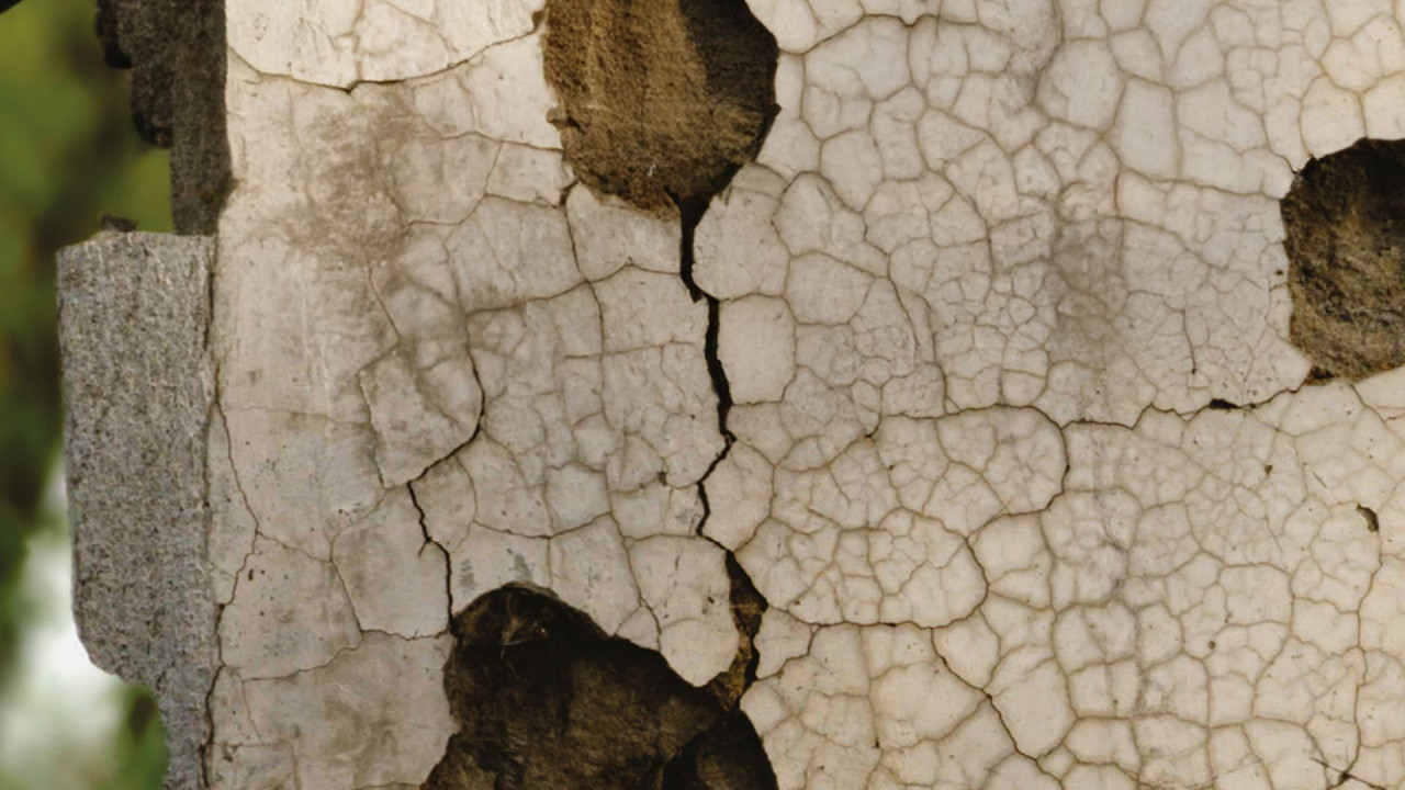 The Negotiators: How to Make Peace