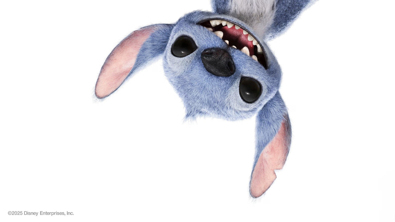 Lilo & Stitch | A Special Look