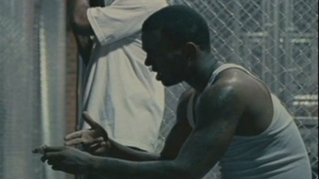 waist deep torrent download waist deep torrent download