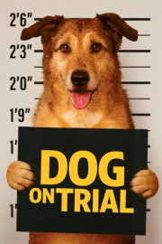 Dog on Trial