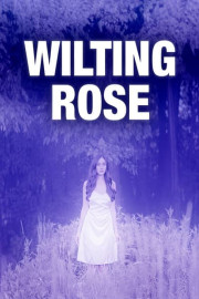 Wilting Rose