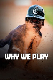 Why We Play