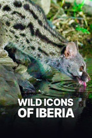 Wild Icons of Iberia