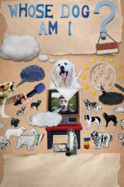 Whose Dog Am I?