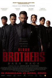 Blood Brothers: Dragon's Embers