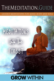 The Meditation Guide: Meditations into the Forest