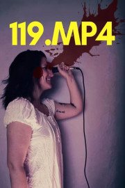 119.MP4