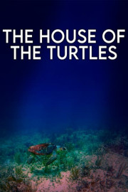 The House of the Turtles