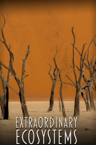 Extraordinary Ecosystems