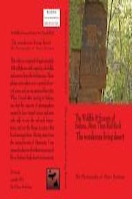 Janet Jackson: In Control