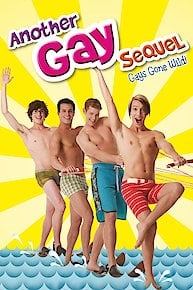 Another Gay Sequel: Gays Gone Wild!