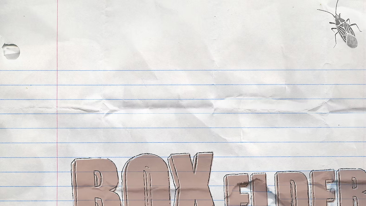 Box Elder