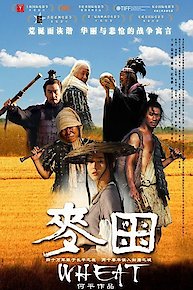 Watch Lost in Beijing Online 2007 Movie Yidio