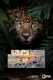 Jaguar Beach
