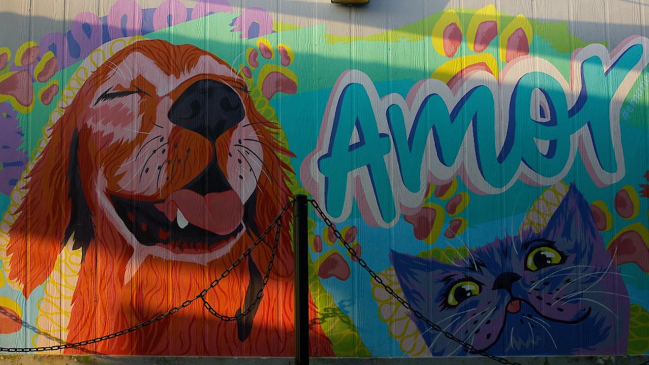 No Companion Left Behind