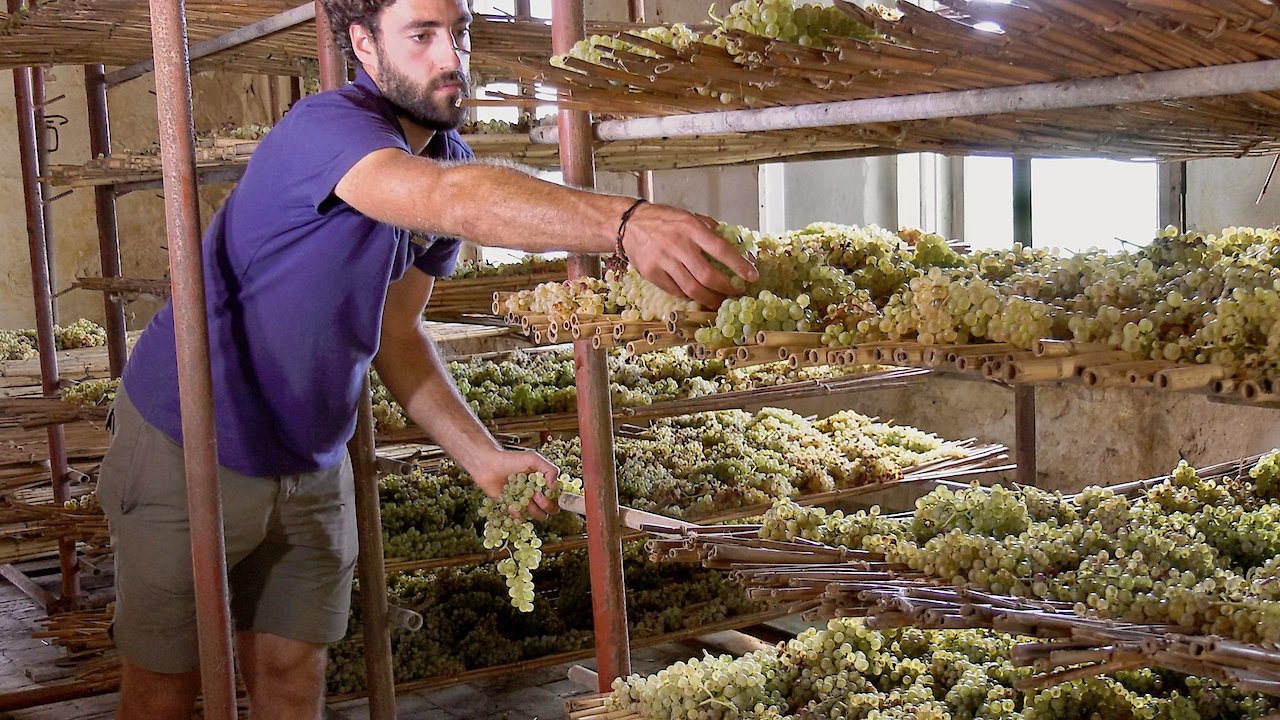 Tuscany Beyond Expectations