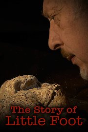 The Story of Little Foot