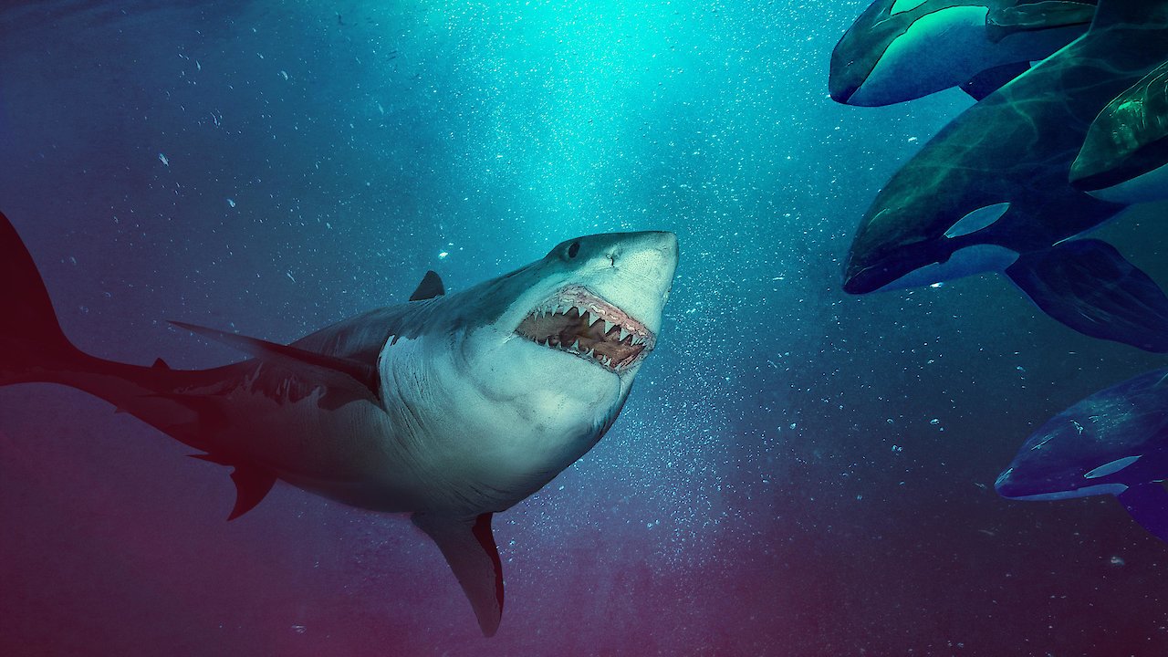 Great White Reign of Terror