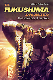 The Fukushima Disaster