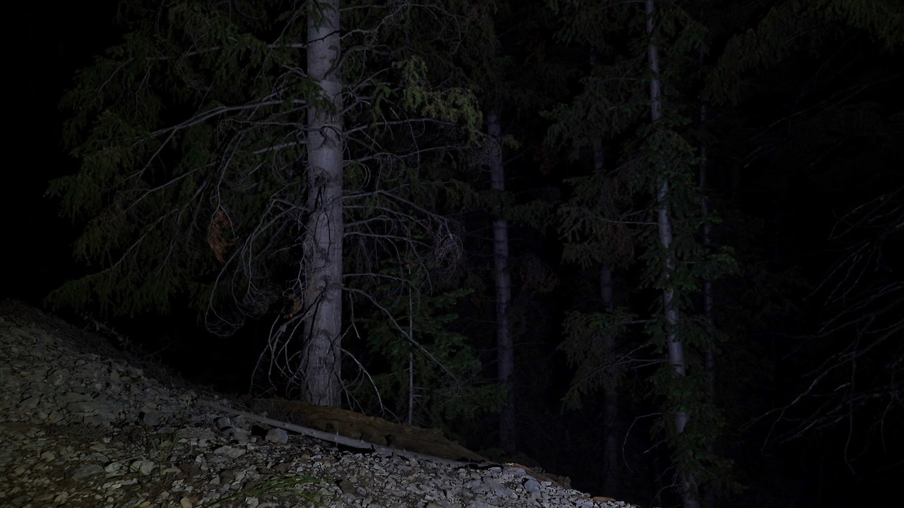 Horror in the High Desert 3: Firewatch