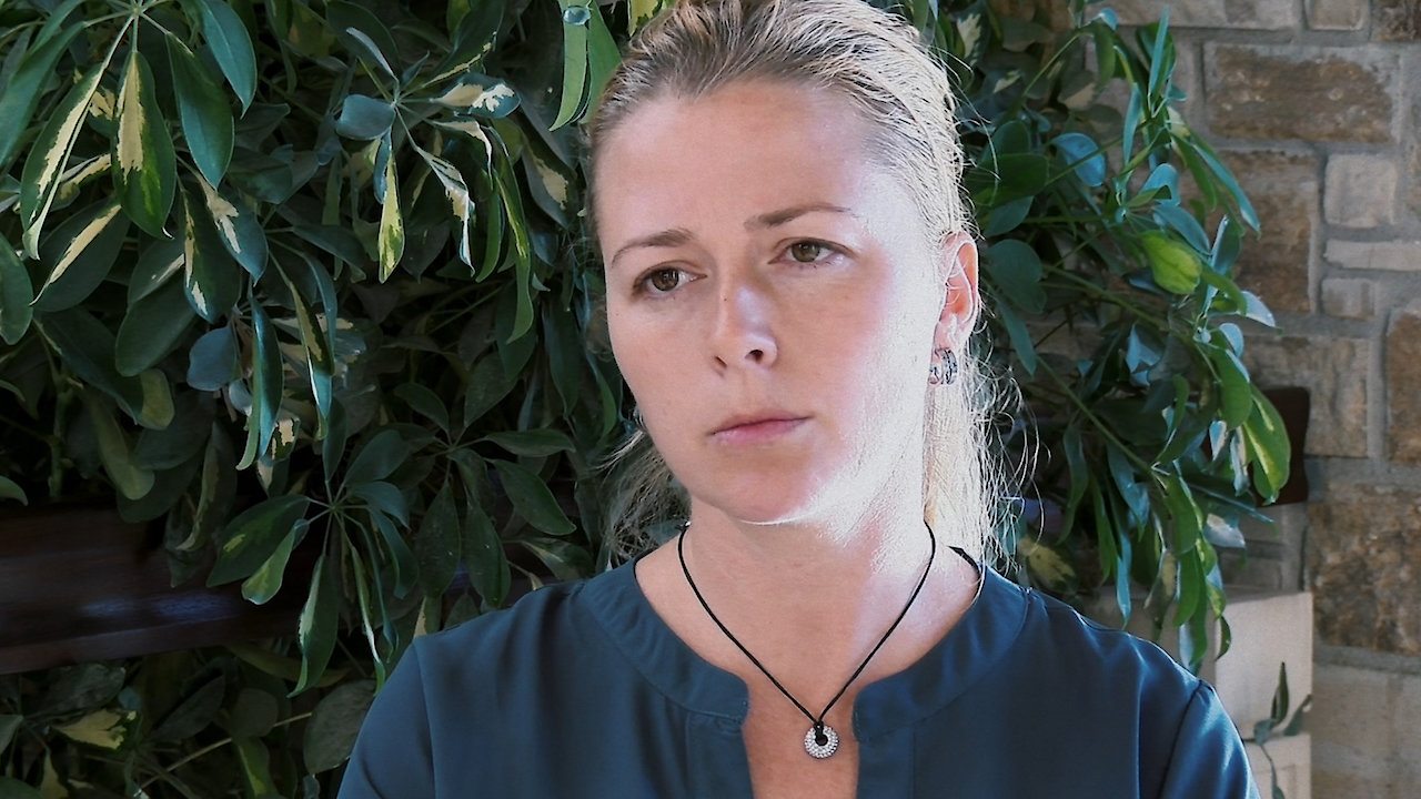 The Stray Story: A Dogumentary