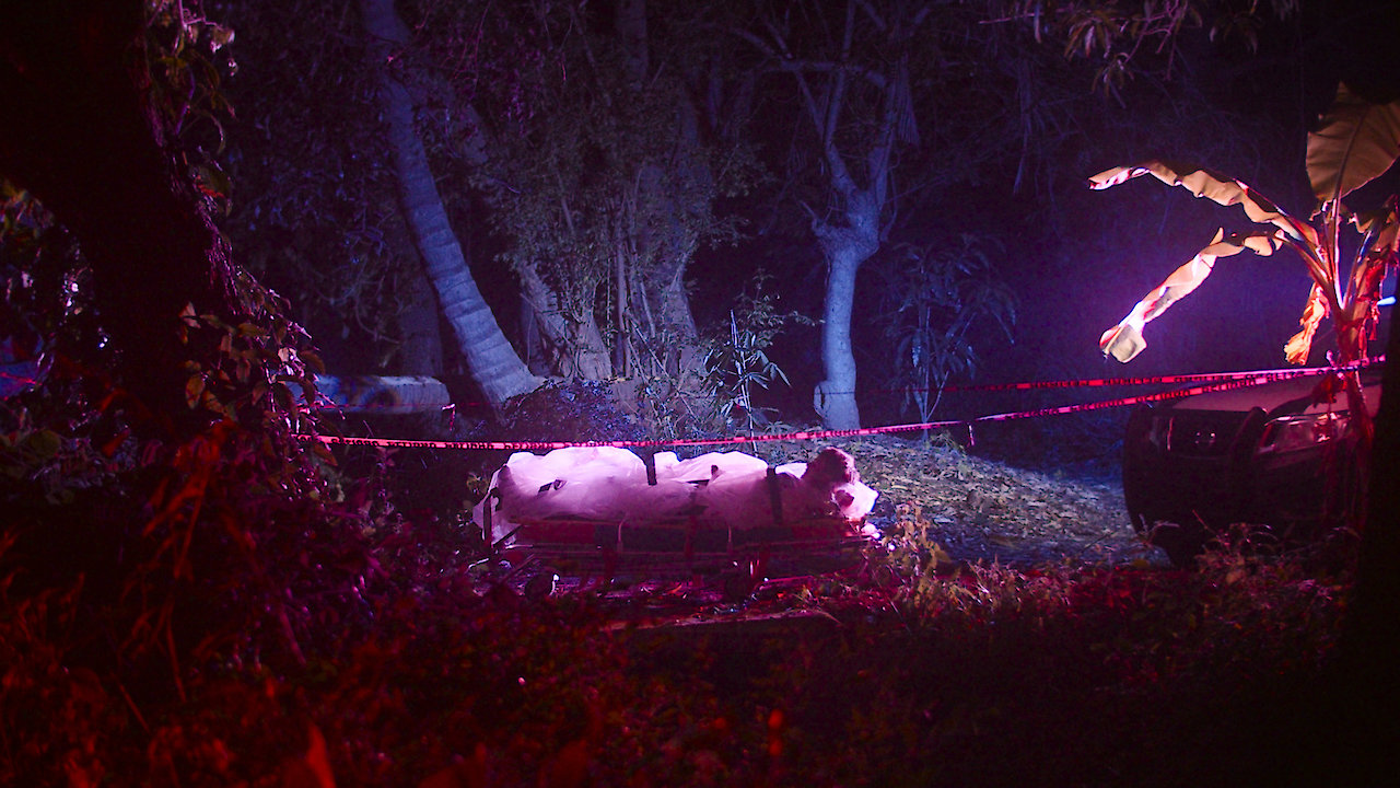 At Night All The Cats Are Black