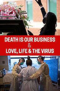 Butterfly In The Sky