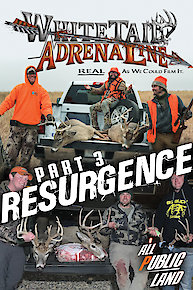 The Official Journey Volume Two