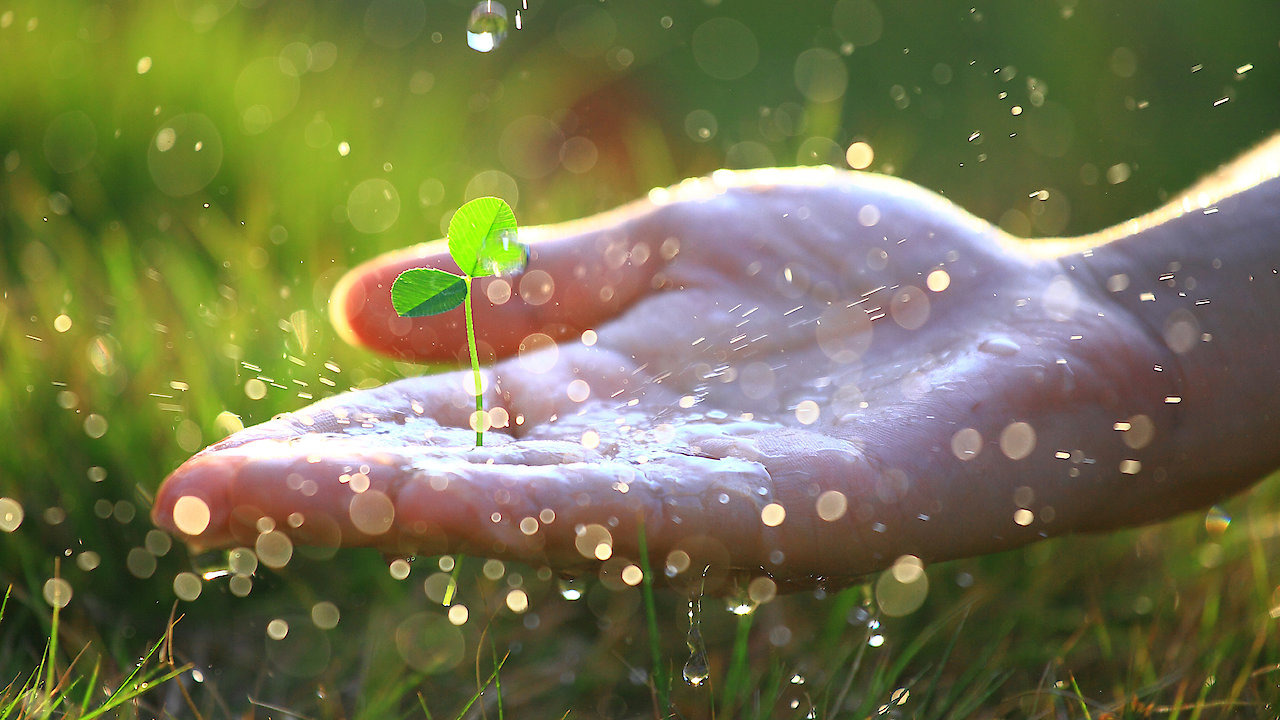 Bob Proctor: Master Class