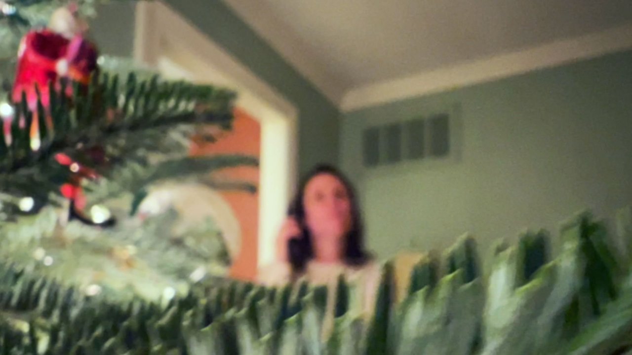 Take A Right to Palma Ceia