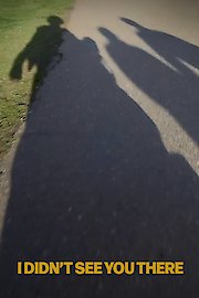 I Didn't See You There