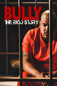 Crop circle mysteries - Messages & connections