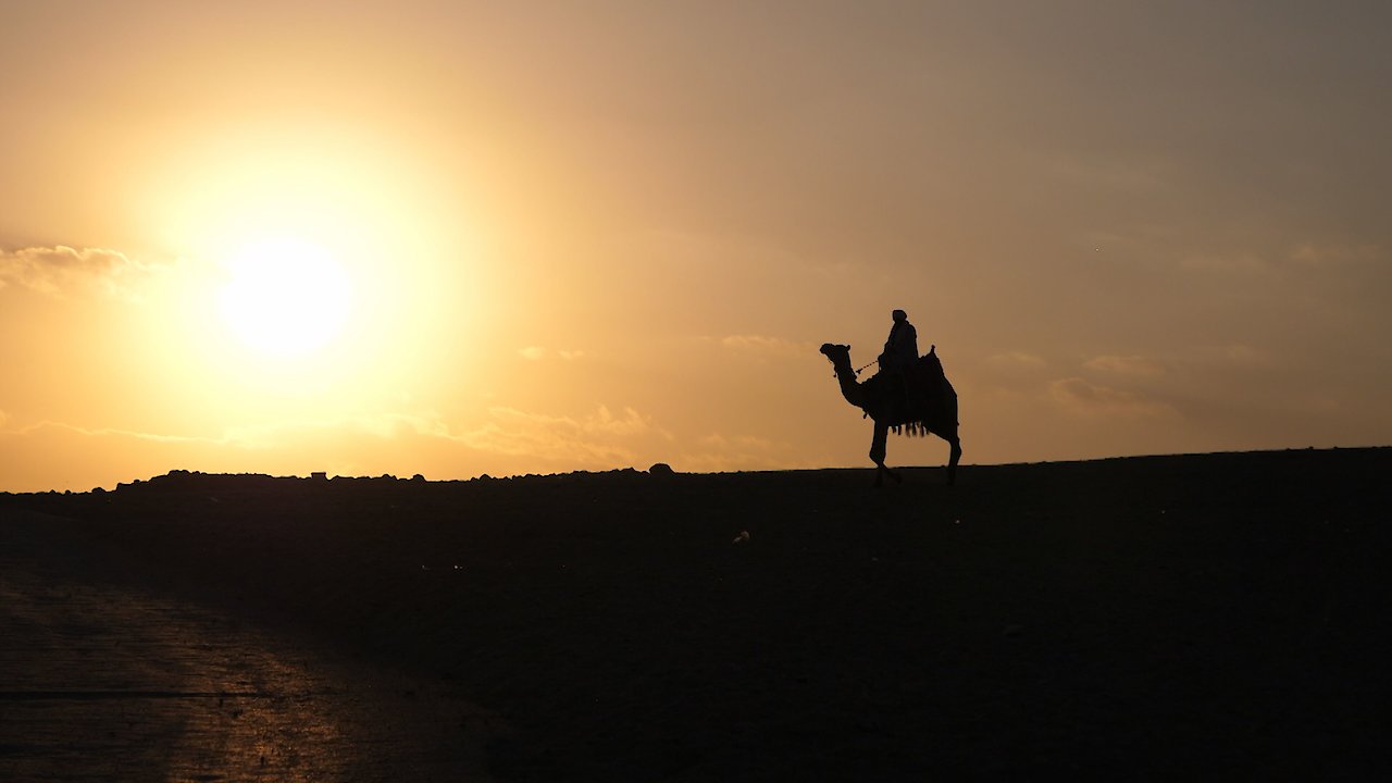 Egypt The Temples Saved from the Nile