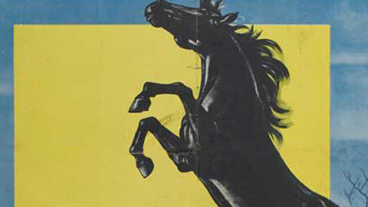 The Courage Of Black Beauty