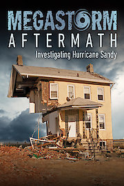 Megastorm Aftermath