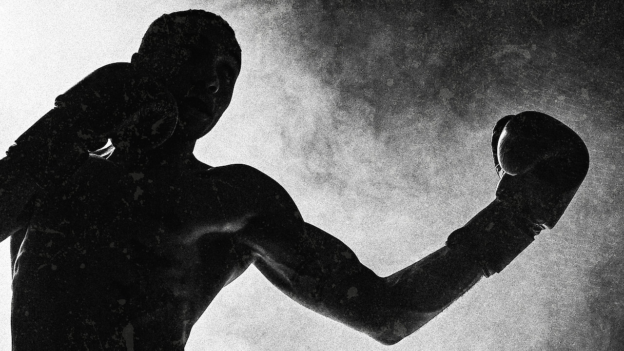 Schusterman Levine: A Boxing Fable