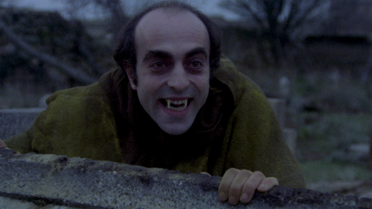 The Night Of The Walking Dead